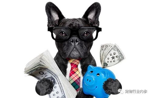 美國(guó)寵物食品市場(chǎng)持續(xù)增長(zhǎng) 人類食品公司跨界寵物食品領(lǐng)域