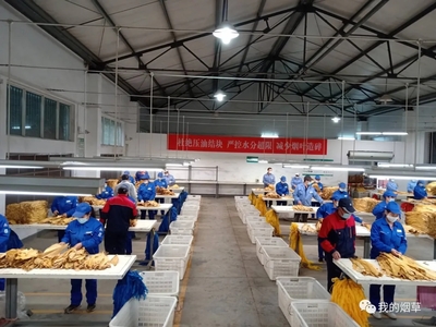 湖北竹山縣煙葉分公司切實(shí)做好煙葉收購現(xiàn)場(chǎng)管理